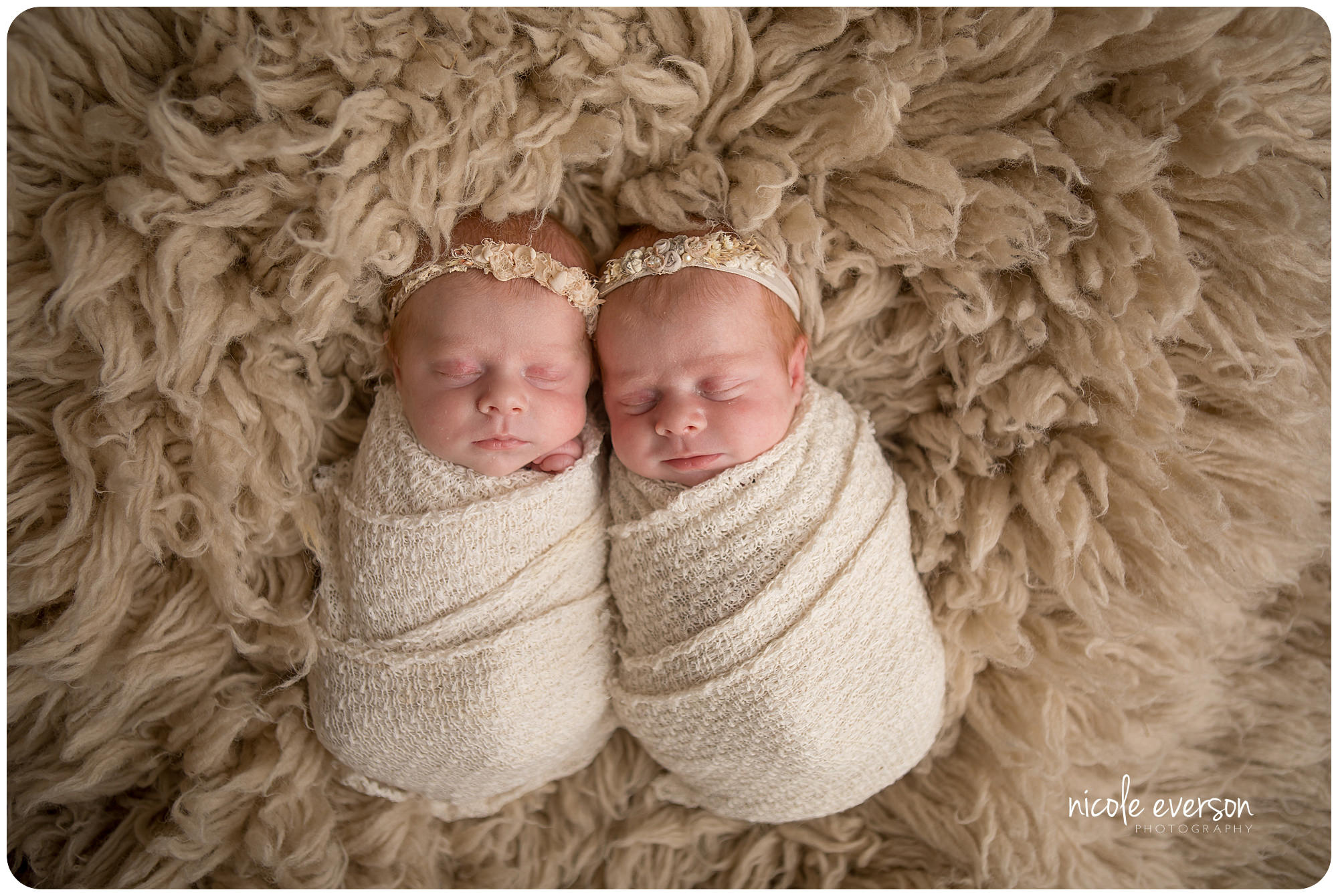 twin newborn photographer
