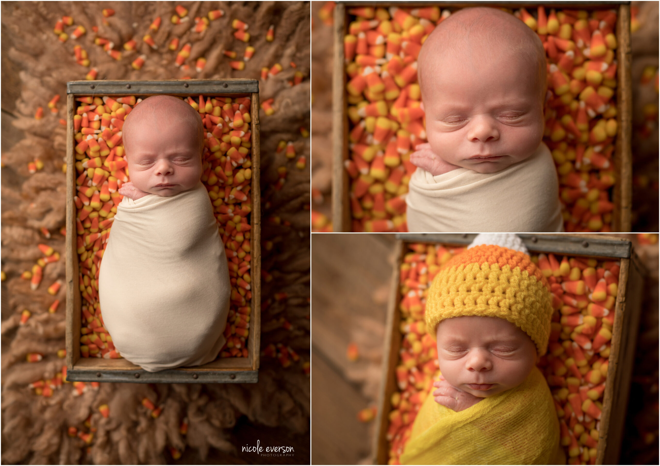 fall newborn photos with candy corn