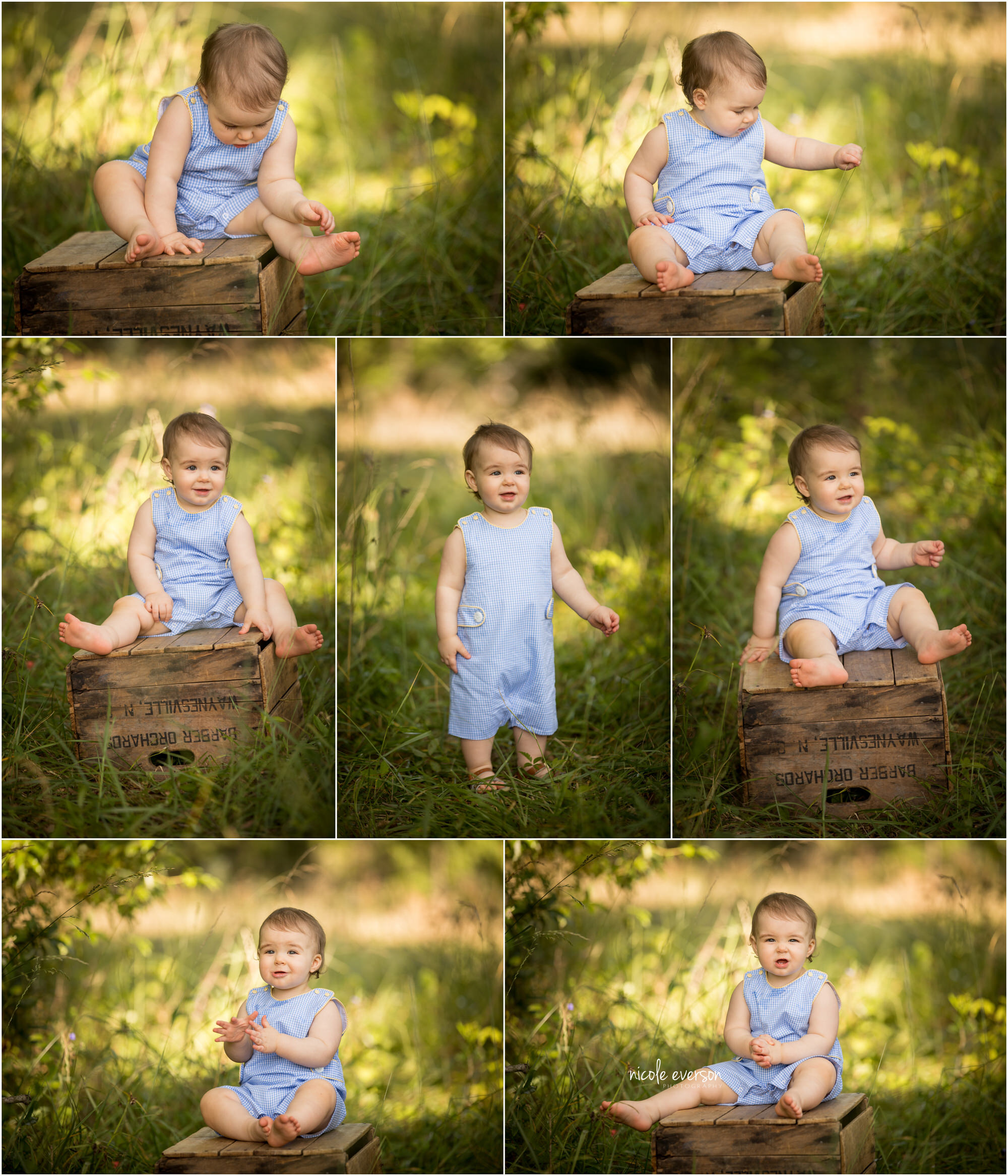 one year old photos baby photographer