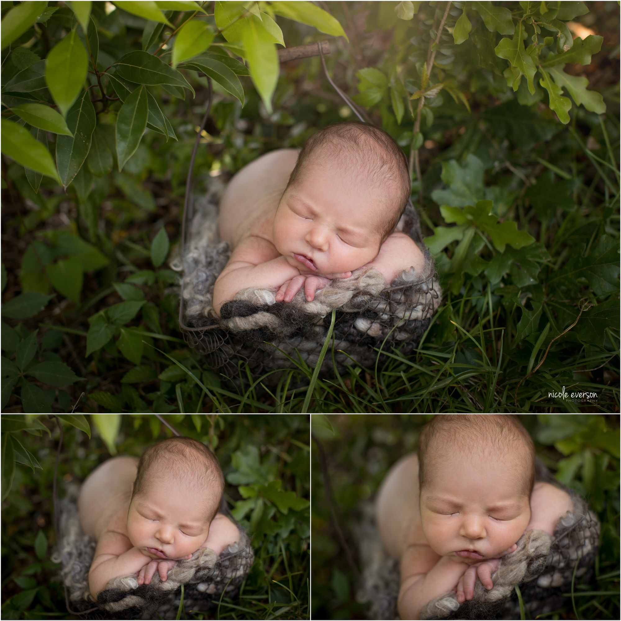 outside newborn photography