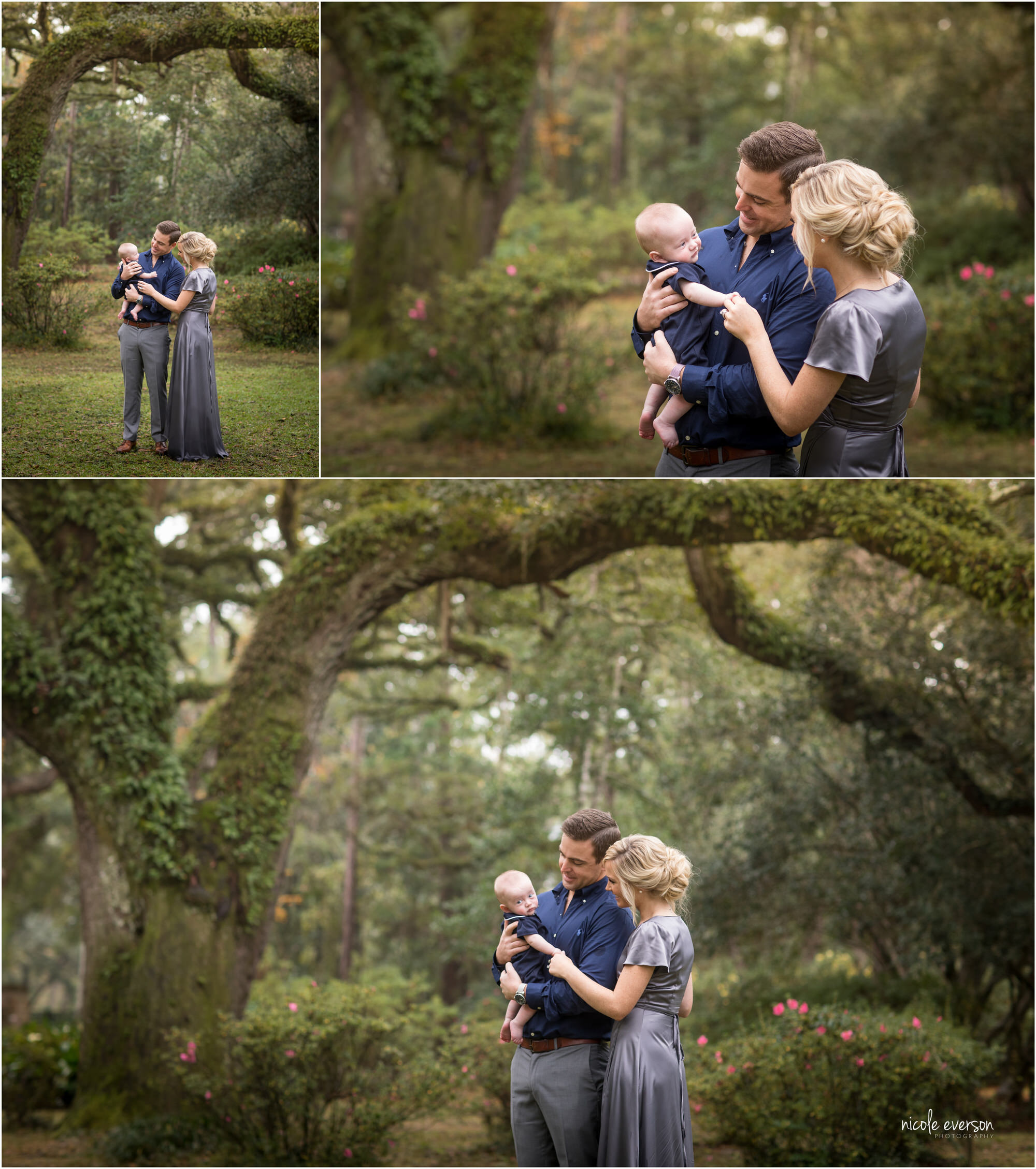 family photography with large live oaks