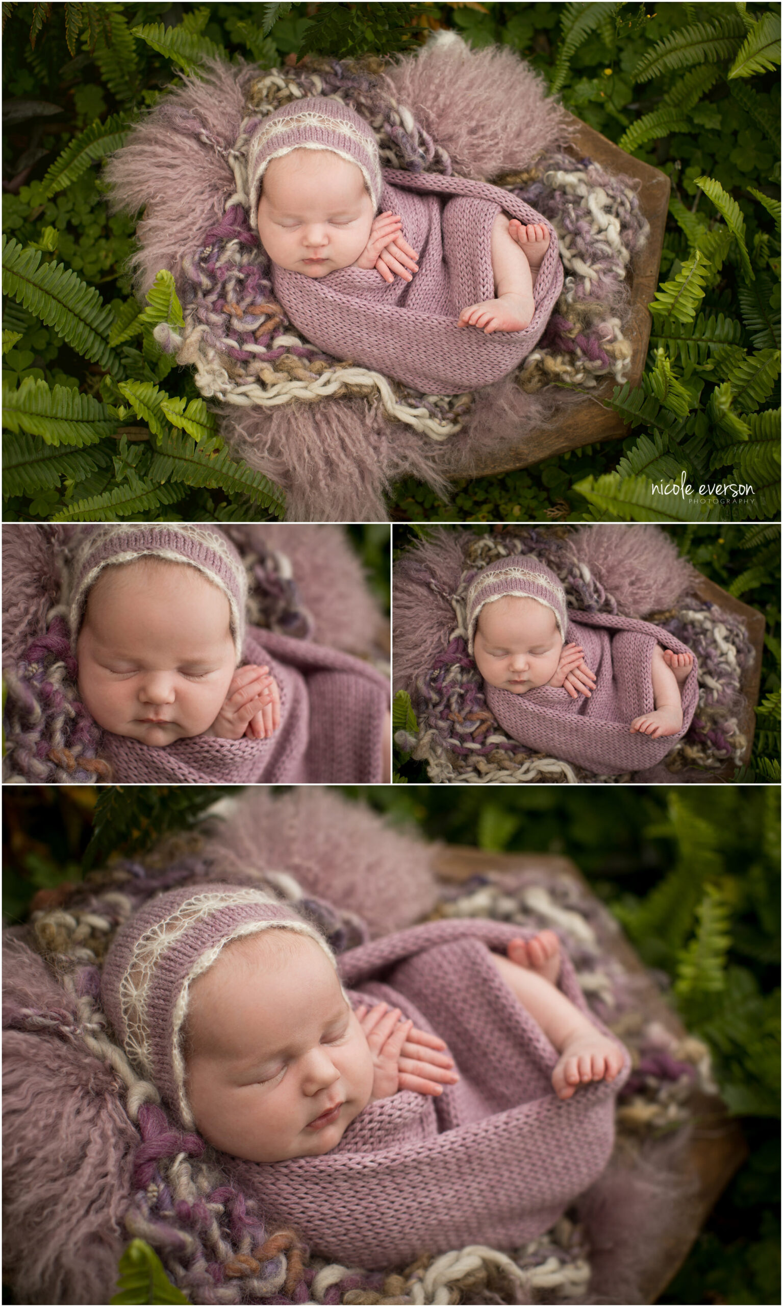 newborn photographed outside in a Destin garden by Nicole Everson Photography