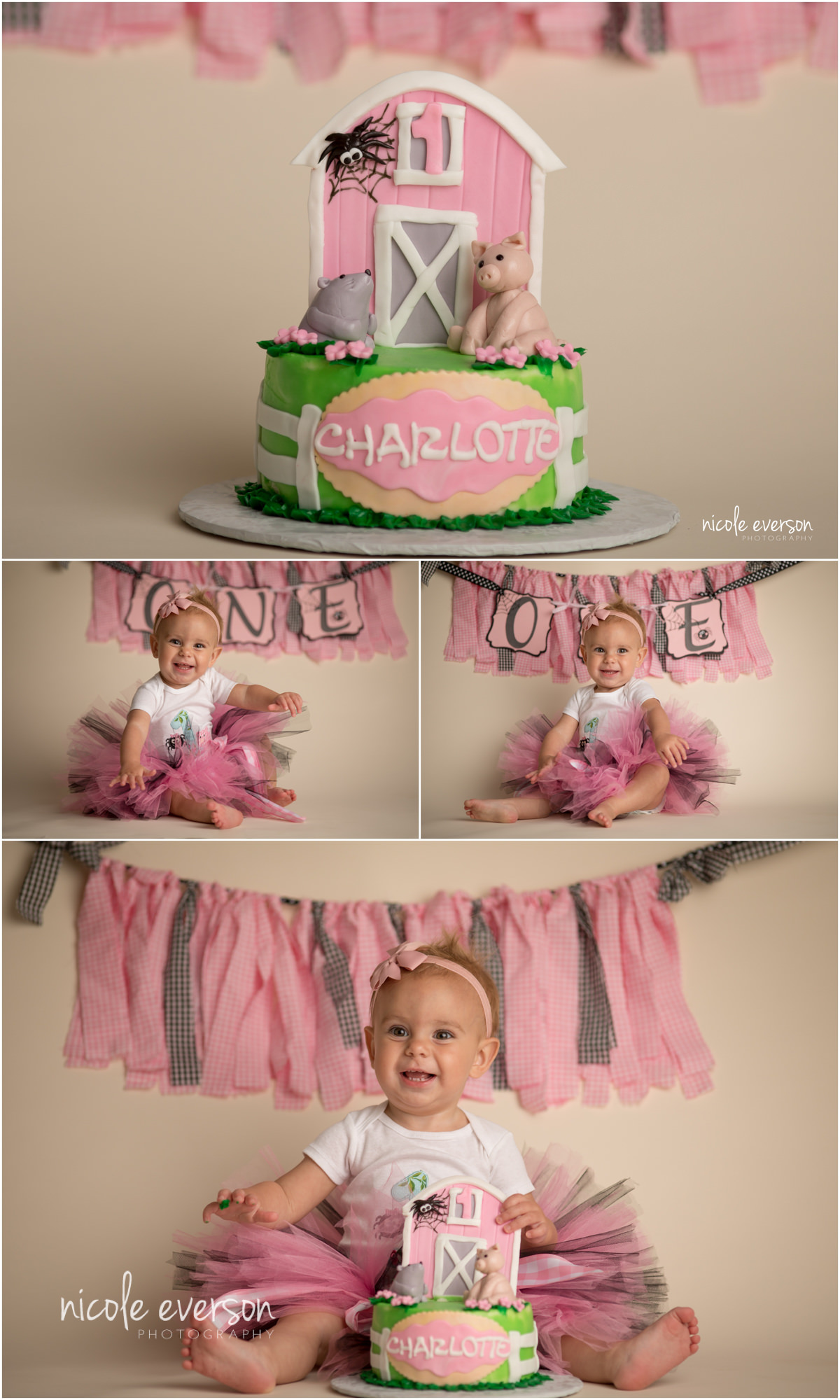 smash cake baby photoshoot Tallahassee Florida