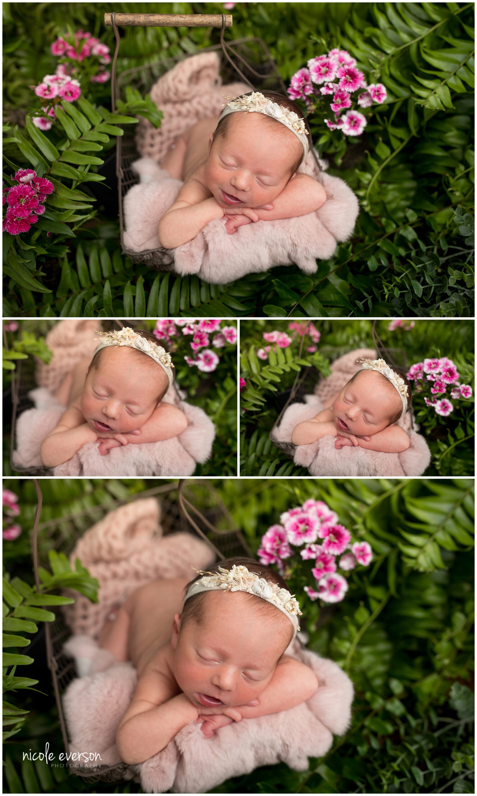 outside newborn photography