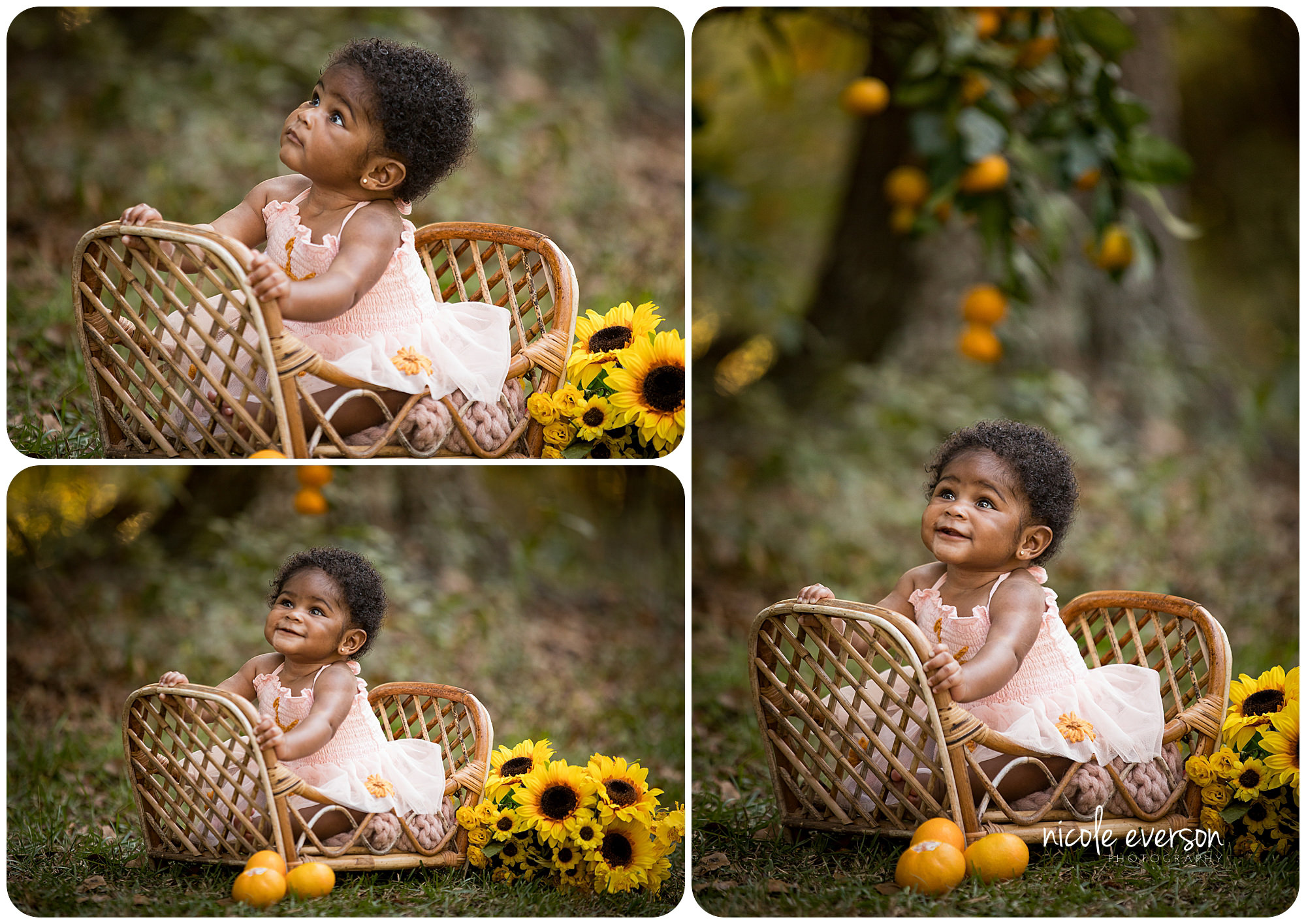 Dothan baby photographer