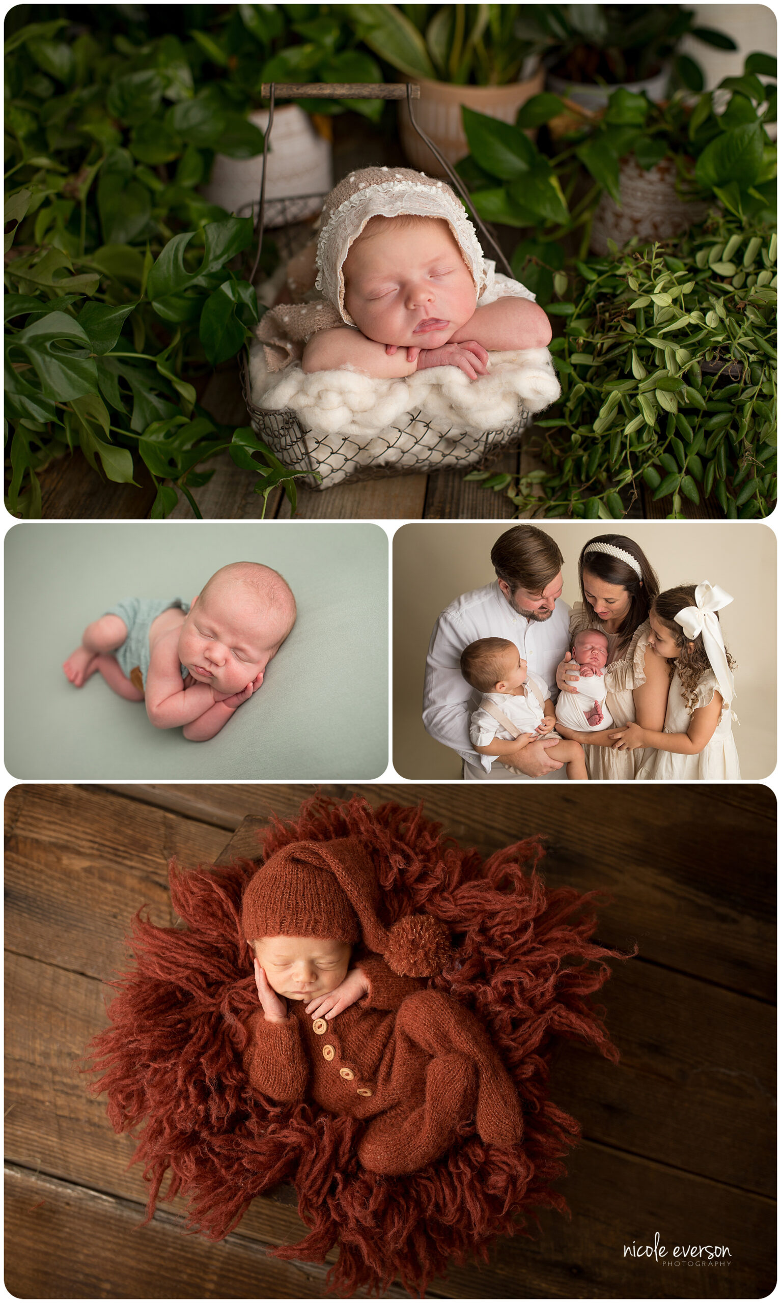 freeport newborn photographer