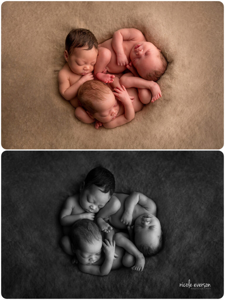 triplet newborn photography Tallahassee