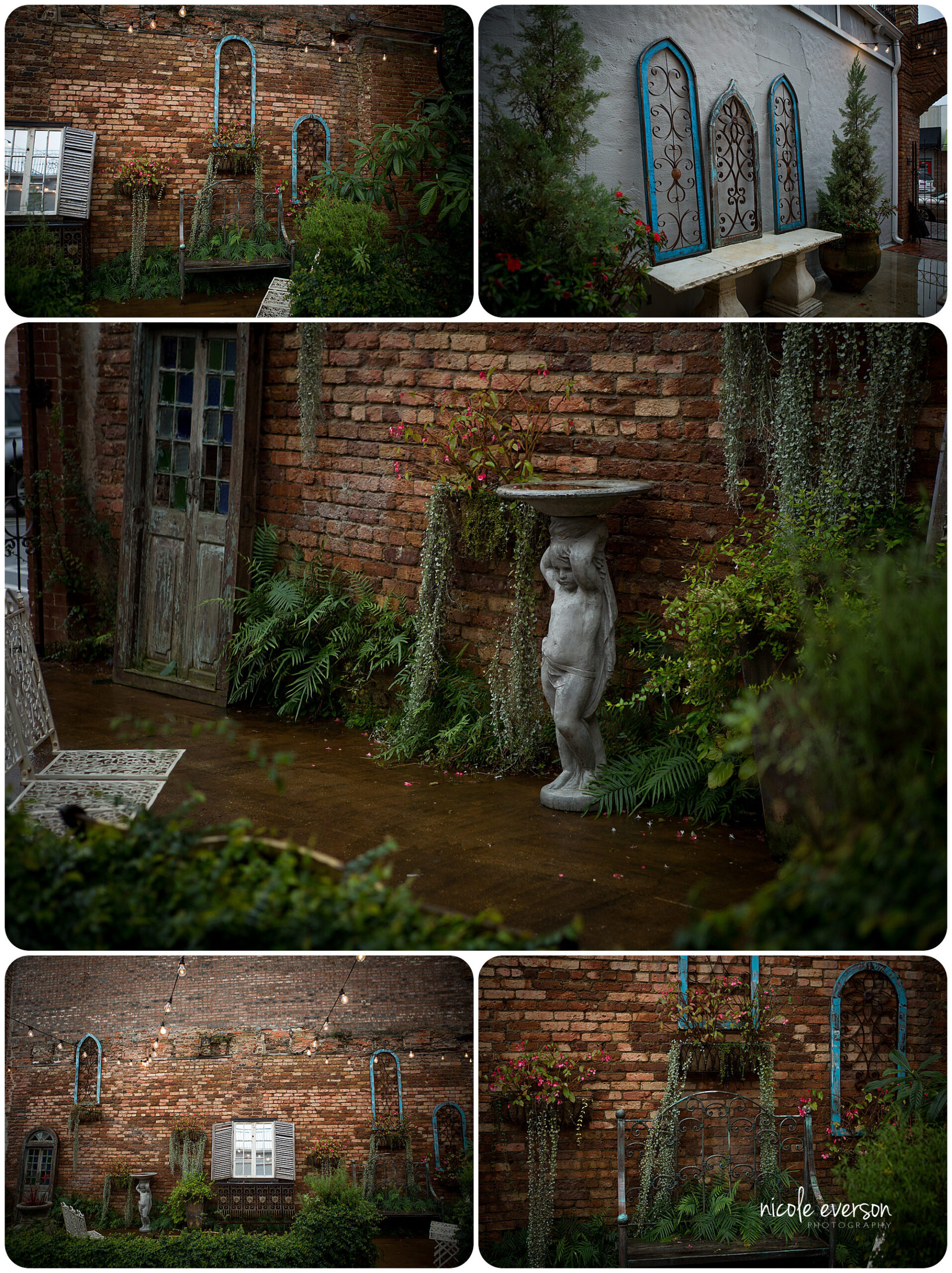 Tallahassee photographer