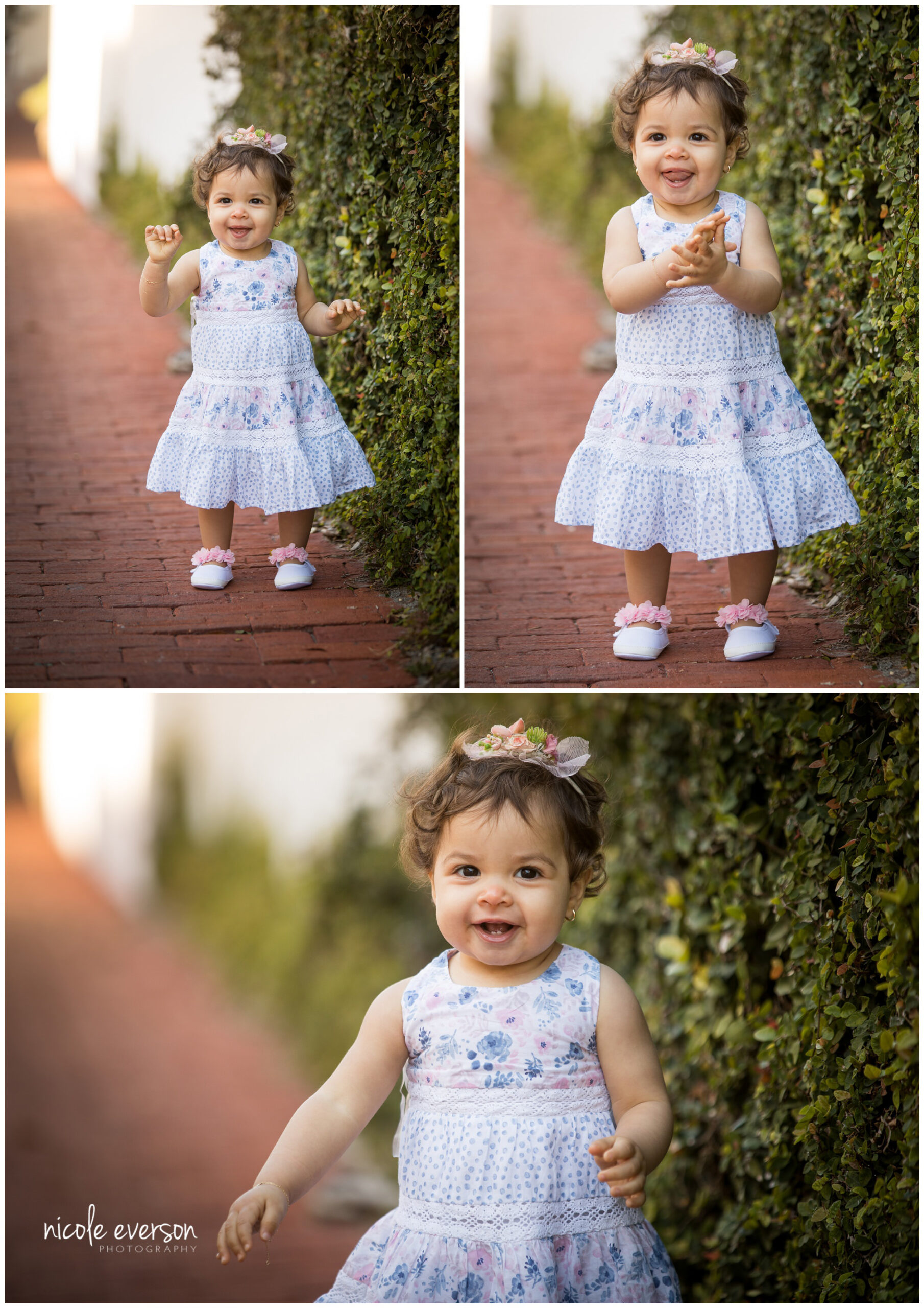 Rosemary photographer