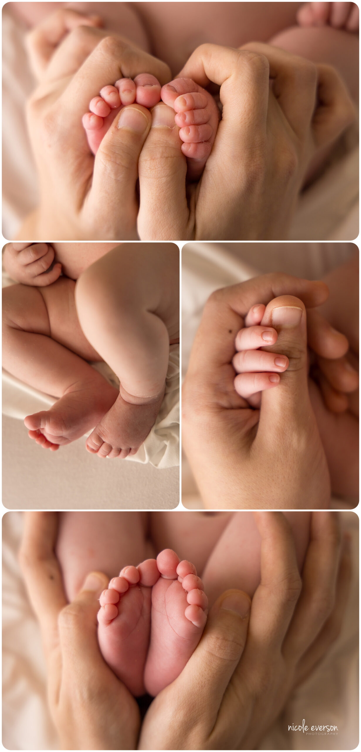 newborn detail shots
